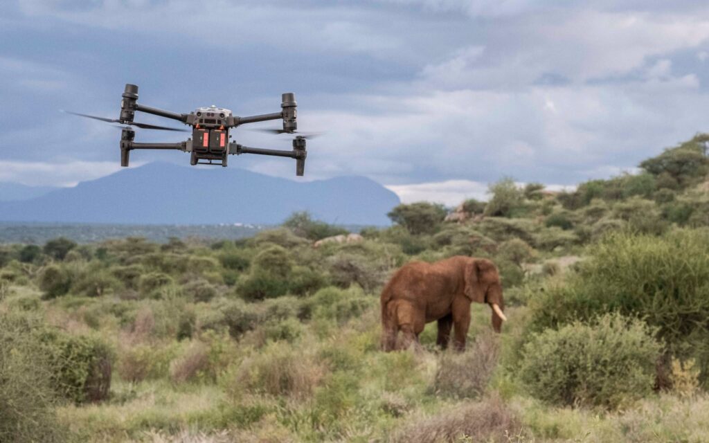 DJI DRONES ELEPHANT KENYA